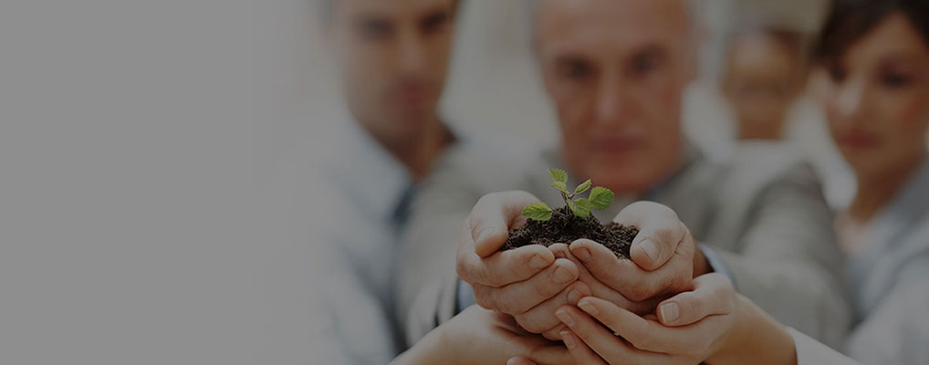 Build your business, Grow your wealth